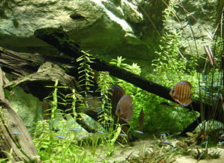 L’assemblaggio delle lastre 1457 0 L assemblaggio delle lastre